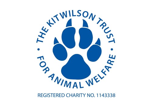 Charity donation the - the, kit