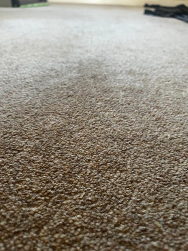 Beige colour carpet rug - beige,