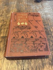 1901 Shell Life by Edward Step
