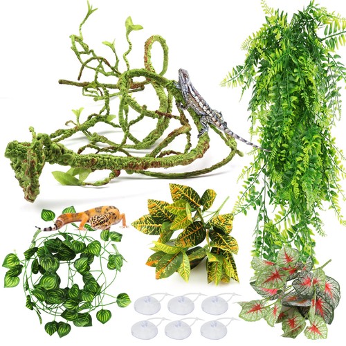 Pietypet reptile plants - pietypet,