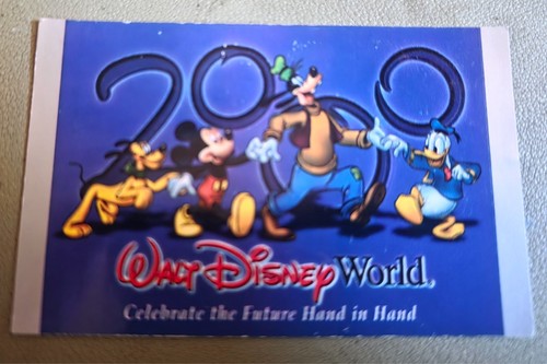 2000 millenium disney day - 2000,