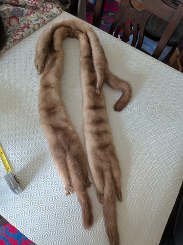 Vintage pale brown mink - pale,