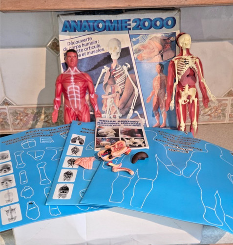 Vintage ceji anatomie 2000 - ceji,