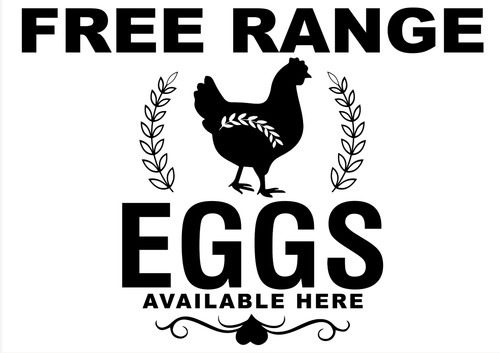 Farm shop free range eggs - shop,