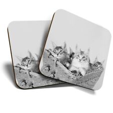 2 x Coasters (BW) - Cute Maine Coon Kittens Cats  #36970