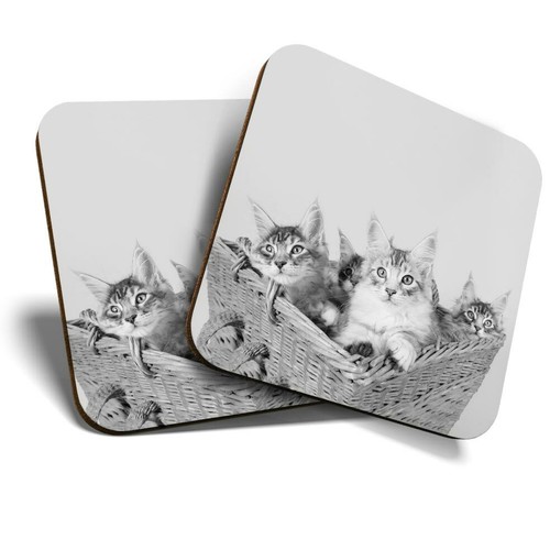 Coasters cute maine - coasters,