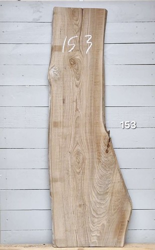 Elm live edge timber - live, x