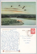 c38818 Peter Scott Curlews