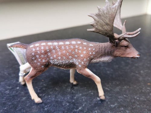 Collect fallow deer - collect,