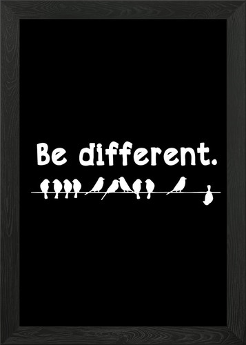 Different birds wire 2 - be,