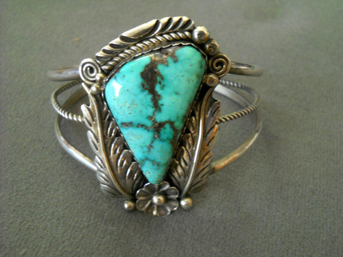 Native american navajo - native,