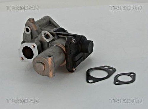 Egr valve triscan - fits, vw