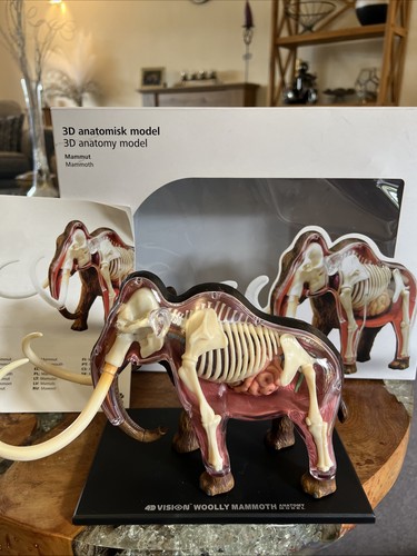 Mammoth anatomy model v - mammoth,