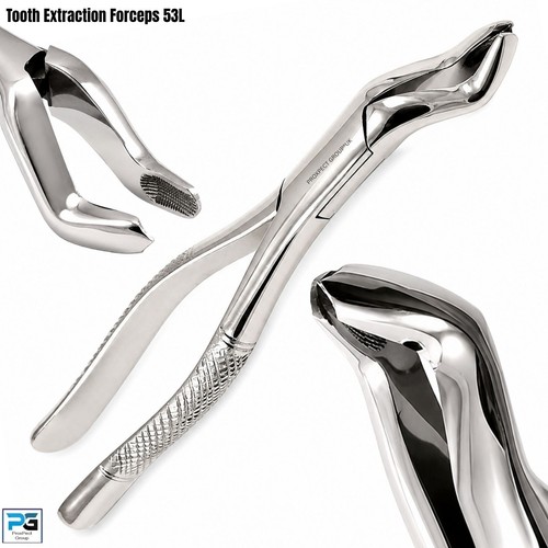Fig 53l dental surgical - fig.,