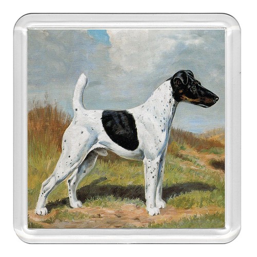 Smooth fox terrier dog acrylic - terrier,