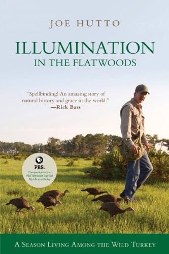 Illumination the flatwoods - in,