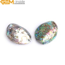 Natural abalone shell loose - shell,
