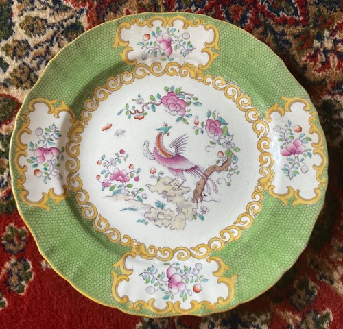 Antique mintons cockatrice - antique,