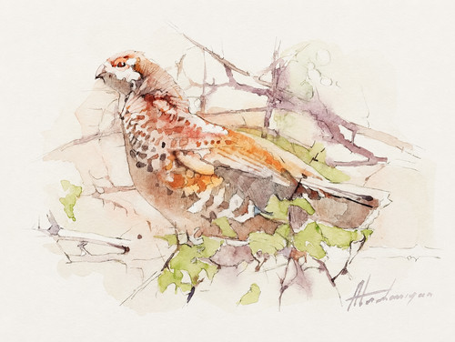 Quail
