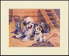 OLD ENGLISH SHEEPDOG AND