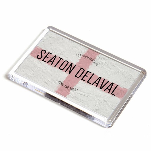 Fridge magnet seaton - fridge,