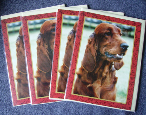Red setter faithful friends - red,