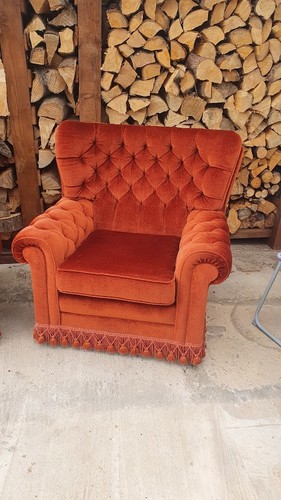 Armchair velvet - armchair,