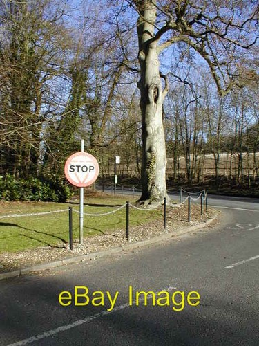 Photo 6x4 old - photo,