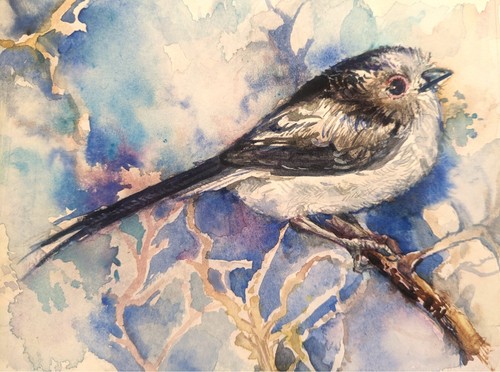 Long tailed tit bird painting - tit,