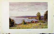 Old Antique Print Colour Plate