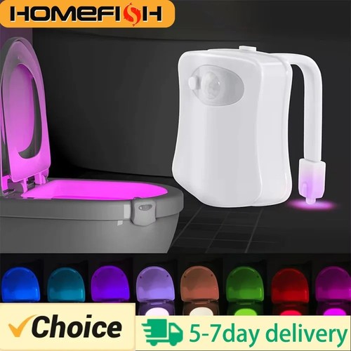 Led toilet bathroom night - toilet,
