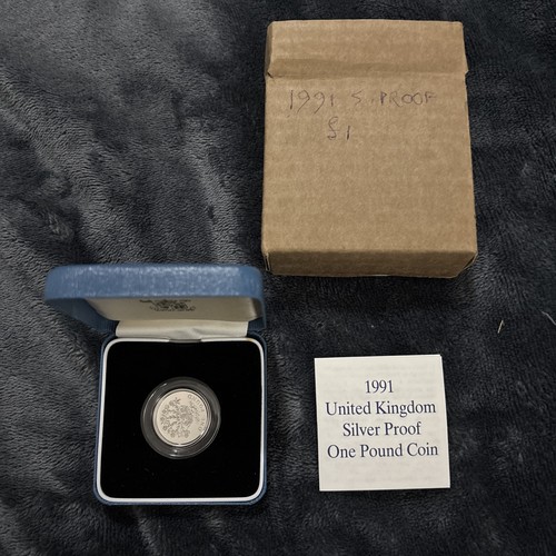Silver proof one pound - silver, £1