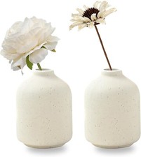 Set of 2 Ceramic Vase for