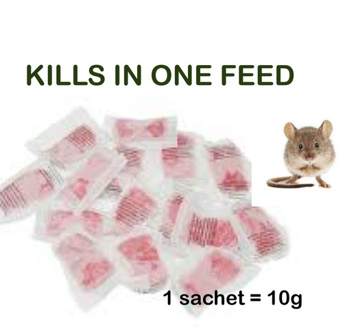 Rodent poison bait - rodent,