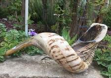 Natural Ram Horn Shofar with