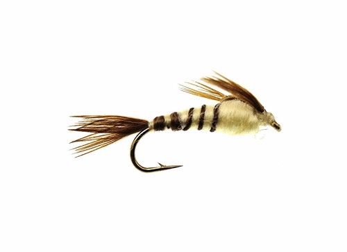 Walkers mayfly nymph flies - mayfly,