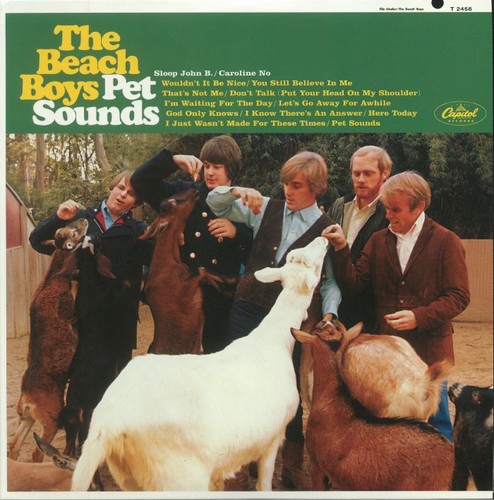 Beach boys the pet - beach, boys,