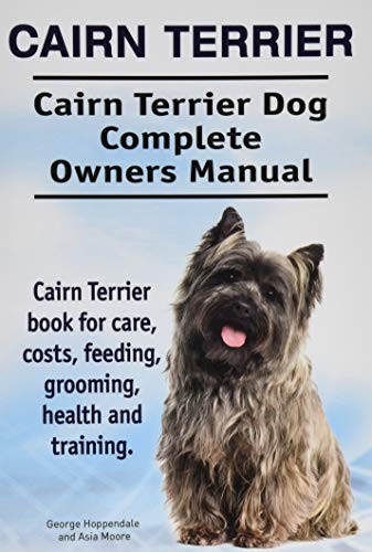 Cairn terrier - cairn,