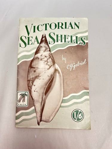 Victorian sea shells j - sea,