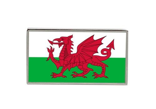 Wales cymru flag lapel - lapel, pin