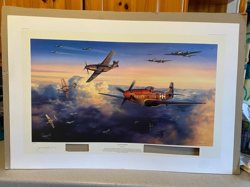 356th mustang aviation art - 356th,