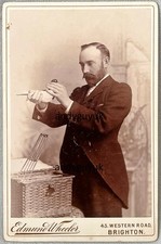 Cabinet card rare pigeon - cabinet,