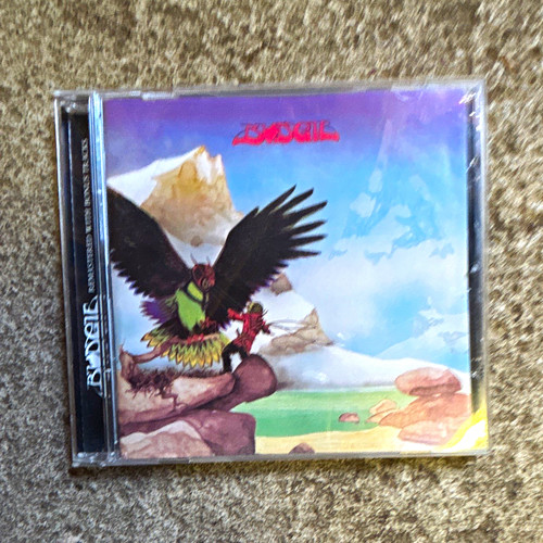 Budgie never turn - budgie, your