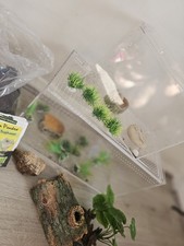 Kakooti reptile cages with accessories, rock dragon stone, calcium powder Ect