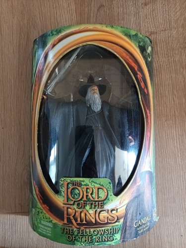 Lord the rings gandalf - lord, with