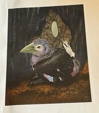 Bird Print: Black Hornbill. Vintage Lithograph by Walter Linsenmaier