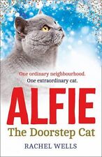 Alfie the Doorstep Cat By