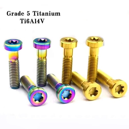 Titanium torx bolts brake - titanium,