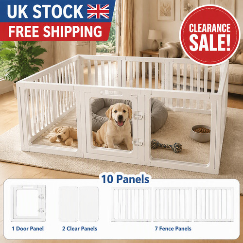 Clearance sale clear - sale, arlic