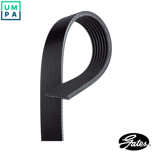 Vribbed belt 7pk2255 for - vribbed,